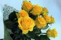 Всеобщее заблуждение: желтые розы – символ печали?